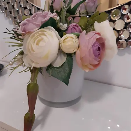 Beautiful New Apartment Bubli *